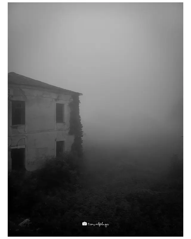 Lost in Fog.jpg